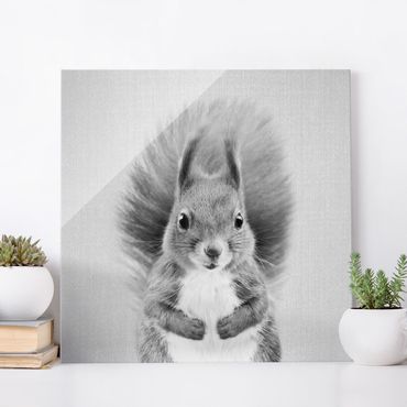 Obraz na szkle - Squirrel Elisabeth Black And White