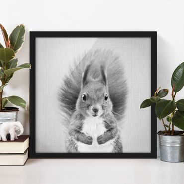 Obraz w ramie - Squirrel Elisabeth Black And White