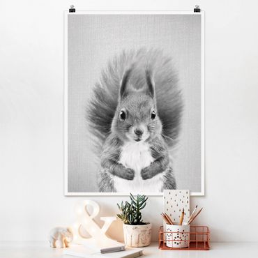 Plakat reprodukcja obrazu - Squirrel Elisabeth Black And White