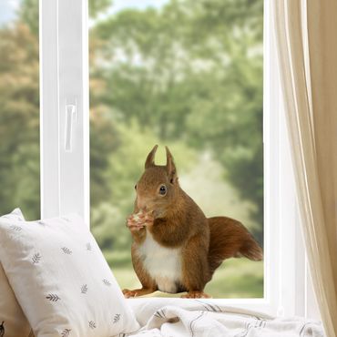 Naklejka na okno - Wiewiórka