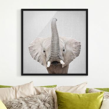 Obraz w ramie - Elephant Ewald