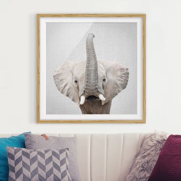 Obraz w ramie - Elephant Ewald