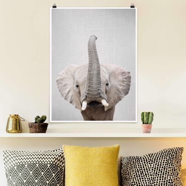 Plakat reprodukcja obrazu - Elephant Ewald