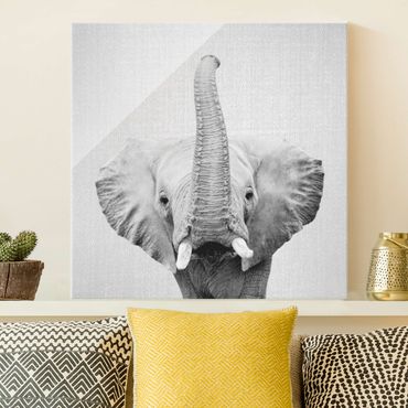 Obraz na szkle - Elephant Ewald Black And White