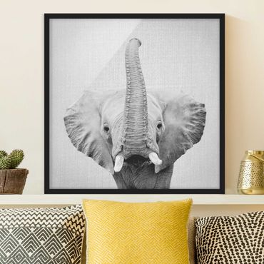 Obraz w ramie - Elephant Ewald Black And White