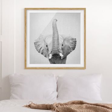Obraz w ramie - Elephant Ewald Black And White