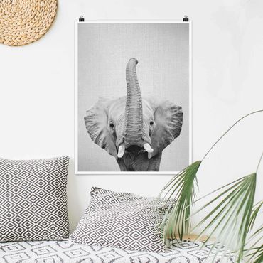 Plakat reprodukcja obrazu - Elephant Ewald Black And White