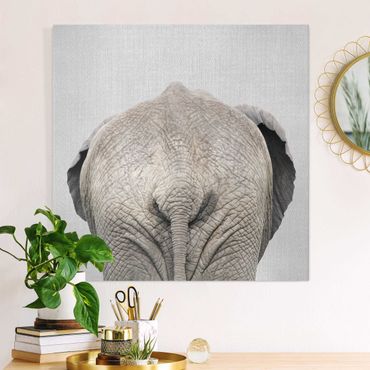 Obraz na płótnie - Elephant From Behind - Kwadrat 1:1