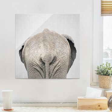 Obraz na szkle - Elephant From Behind