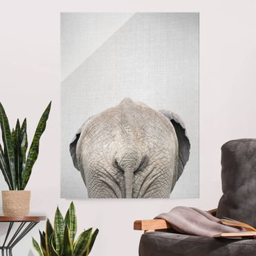 Obraz na szkle - Elephant From Behind