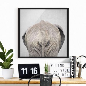 Obraz w ramie - Elephant From Behind