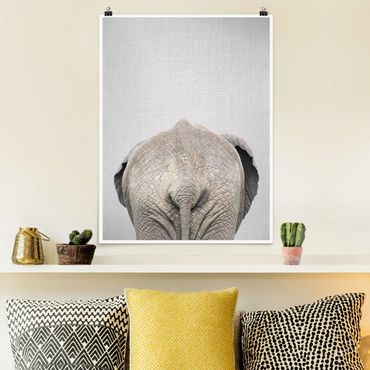 Plakat reprodukcja obrazu - Elephant From Behind