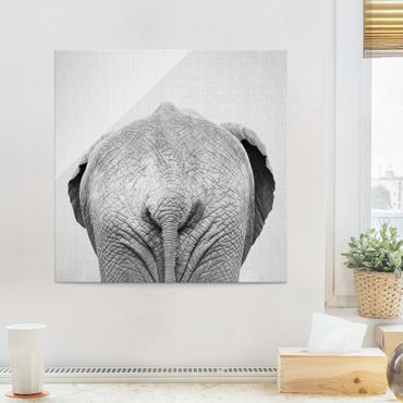 Obraz na szkle - Elephant From Behind Black And White
