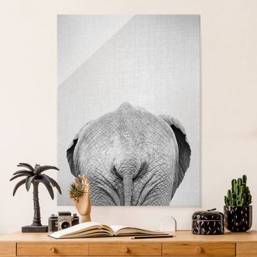 Obraz na szkle - Elephant From Behind Black And White