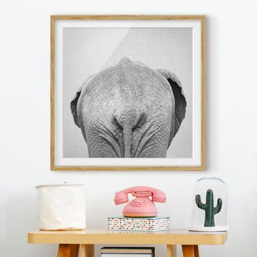 Obraz w ramie - Elephant From Behind Black And White