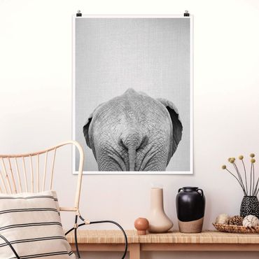 Plakat reprodukcja obrazu - Elephant From Behind Black And White