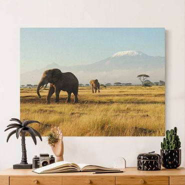 Obraz na naturalnym płótnie - Słonie na tle Kilimandżaro w Kenii