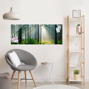 Obraz na szkle - Świetlany las