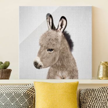 Obraz na szkle - Donkey Ernesto