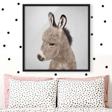 Obraz w ramie - Donkey Ernesto