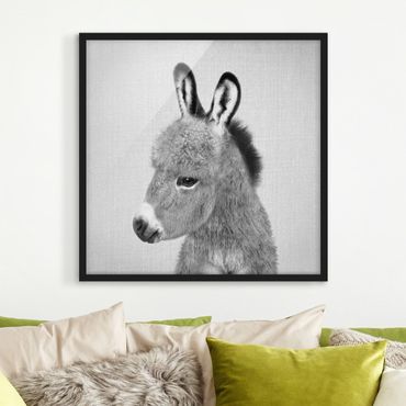 Obraz w ramie - Donkey Ernesto Black And White