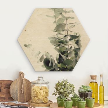 Obraz heksagonalny z drewna - Eukaliptus w białym świetle