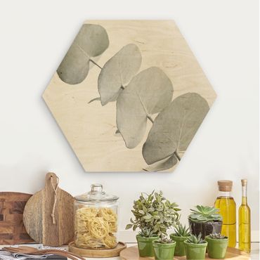 Obraz heksagonalny z drewna - Gałązka eukaliptusa w białym świetle