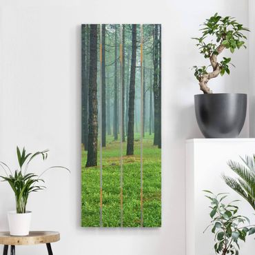 Obraz z drewna - Głęboki las z sosnami na La Palmie