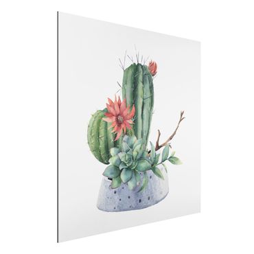 Obraz Alu-Dibond - Akwarela Ilustracja kaktusów