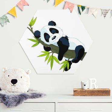 Obraz heksagonalny z Forex - Śpiąca panda