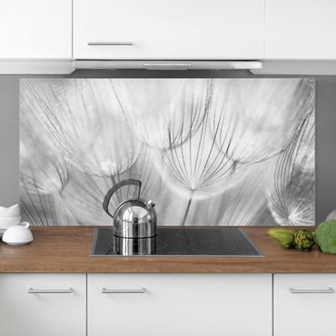 Panel szklany do kuchni - Zdjęcie makro mniszka lekarskiego w czerni i bieli