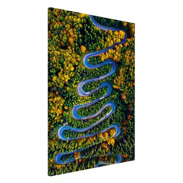 Tablica magnetyczna - Serpentyny w Lesie Transylwańskim