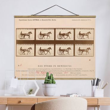 Plakat z wieszakiem - Eadweard Muybridge - Koń w ruchu