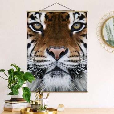 Plakat z wieszakiem - Oczy tygrysa