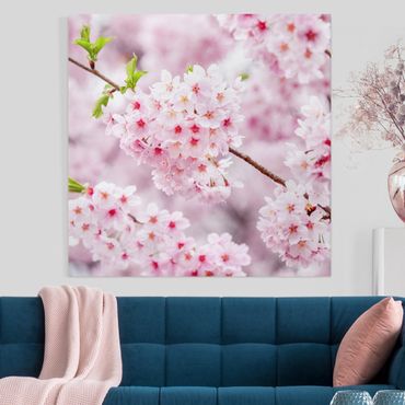 Obraz na płótnie - Japońskie kwiaty wiśni