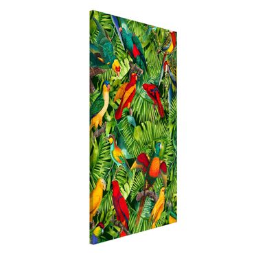 Tablica magnetyczna - Kolorowy kolaż - Papugi w dżungli