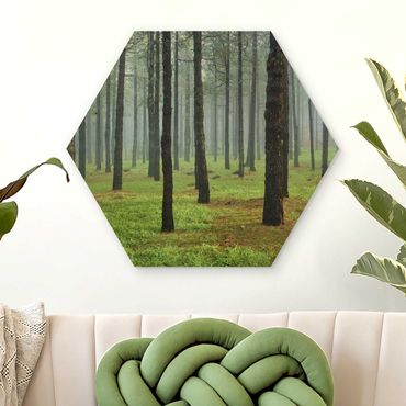 Obraz heksagonalny z drewna - Głęboki las z sosnami na La Palmie