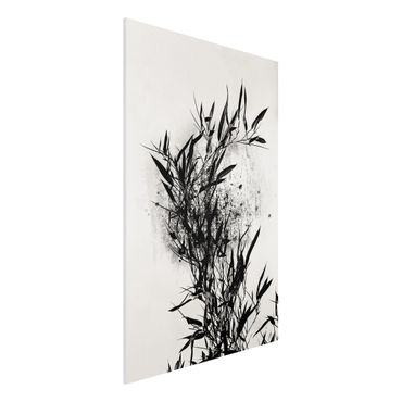 Obraz Forex - Graficzny świat roślin - Czarny bambus