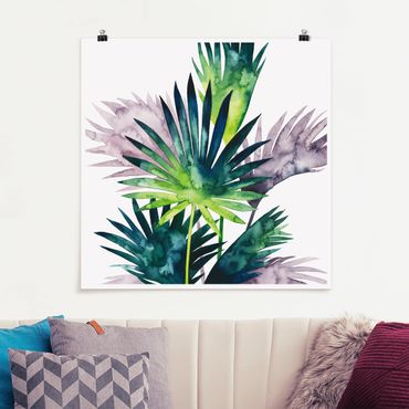 Plakat - Egzotyczne liście - Fan Palm
