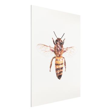 Obraz Forex - pszczoła z brokatem