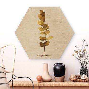 Obraz heksagonalny z drewna - Złoto - Eukaliptus