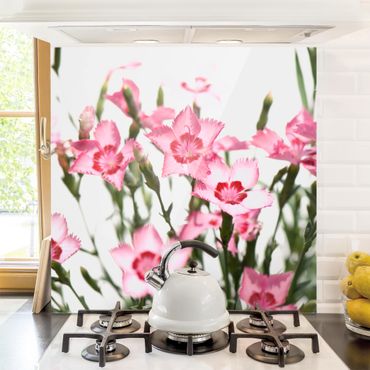 Panel szklany do kuchni - Różowe kwiaty