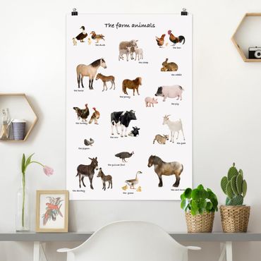 Plakat - Zwierzęta hodowlane