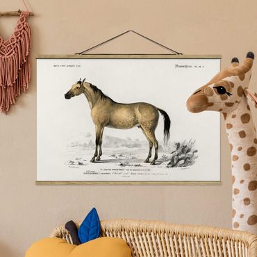 Plakat z wieszakiem - Tablica edukacyjna w stylu vintage Koń