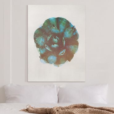 Obraz na płótnie - Akwarele - Niebieska agawa
