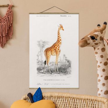 Plakat z wieszakiem - Tablica edukacyjna w stylu vintage Tablica dydaktyczna w stylu vintage Żyrafa
