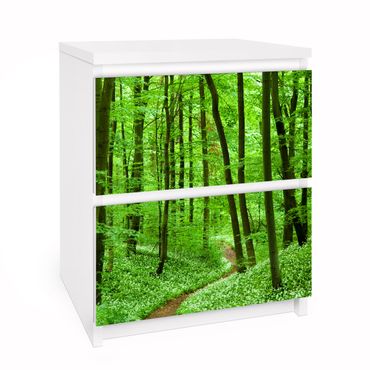 Okleina meblowa IKEA - Malm komoda, 2 szuflady - Szlakiem lasów romantycznych