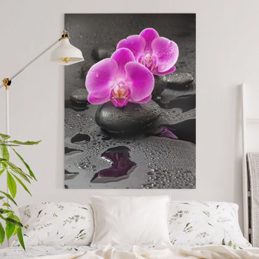 Obraz na płótnie - Kwiaty różowej orchidei na kamieniach z kroplami