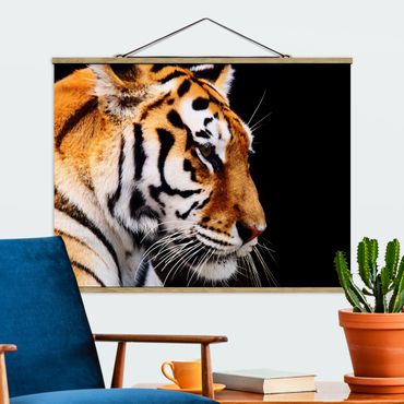 Plakat z wieszakiem - Tiger Beauty