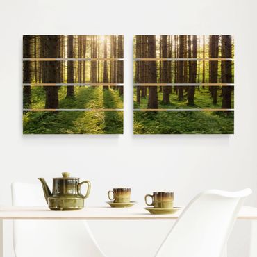 Obraz z drewna 2-częściowy - Promienie słońca w zielonym lesie